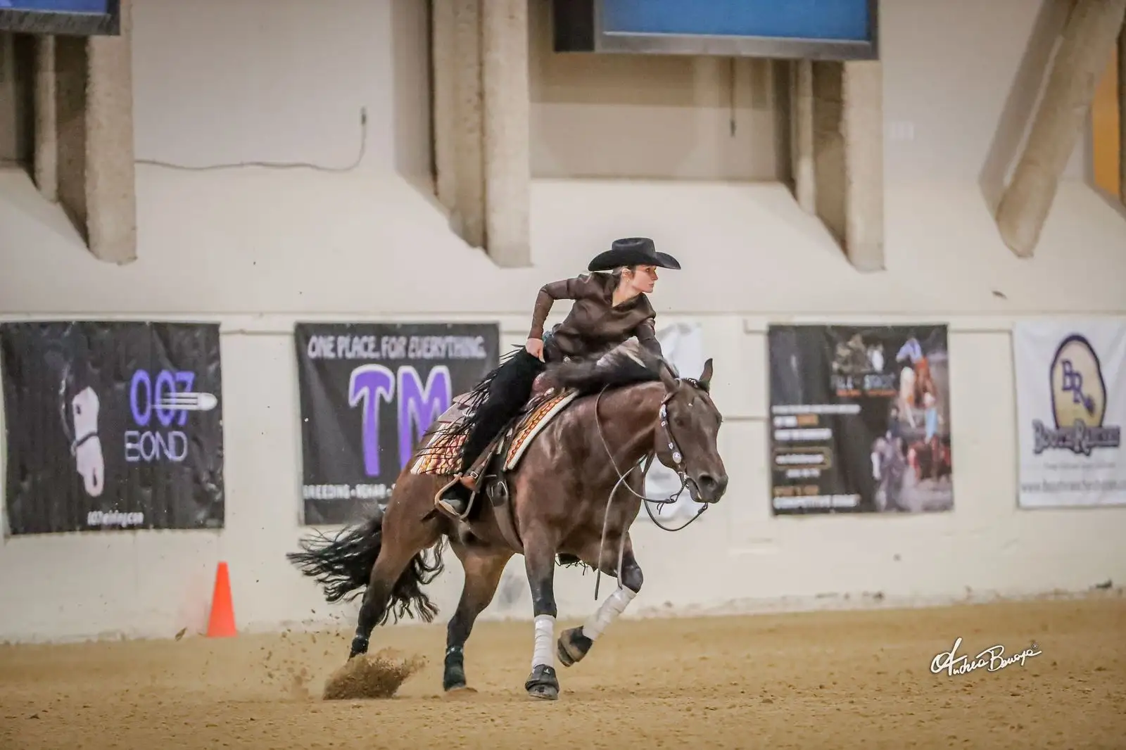 The Run for a million cutting horse challenge